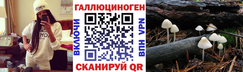 Псилоцибиновые грибы мицелий  Карабаново 